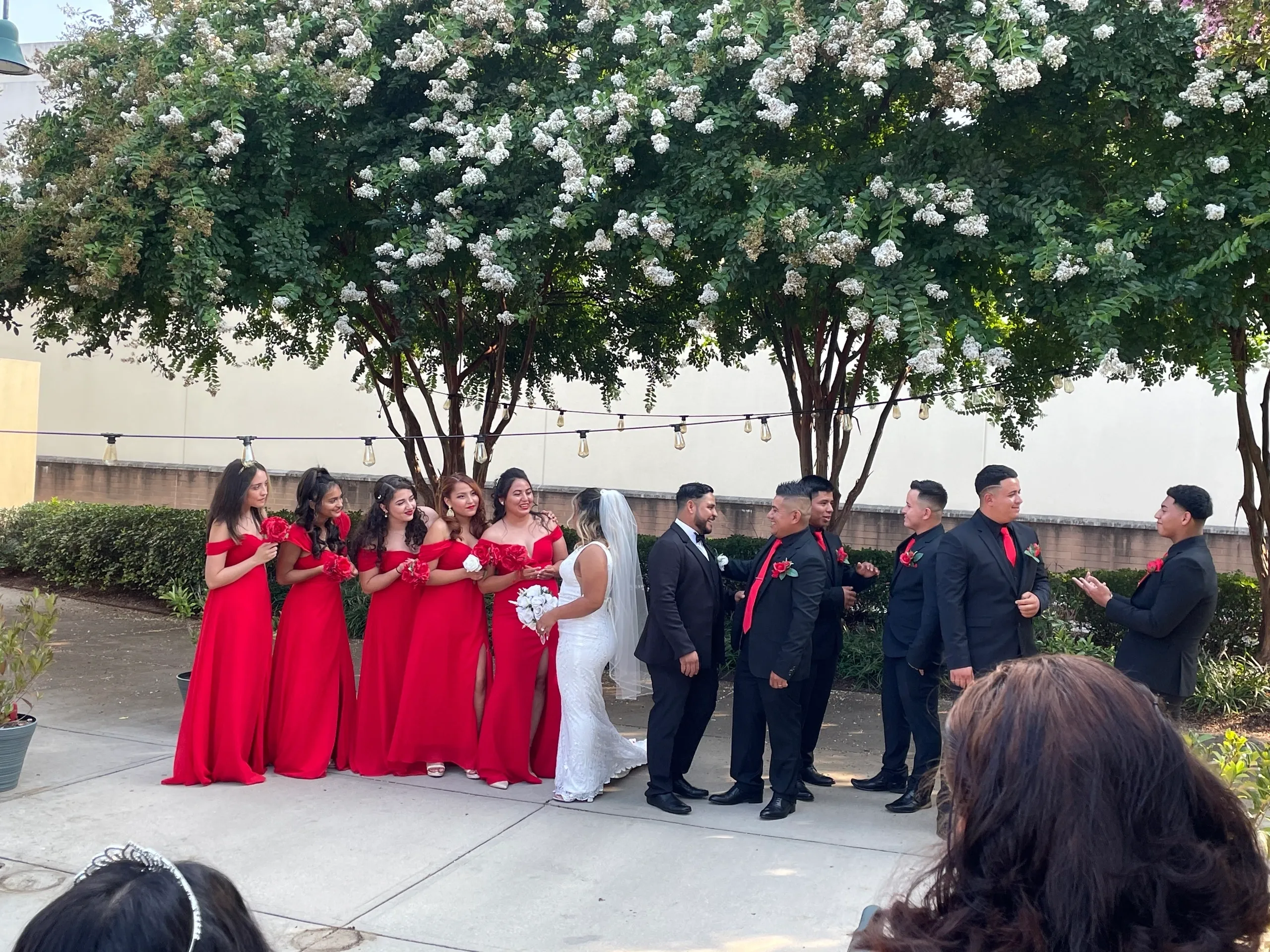 Wedding celebration with bridesmaids and groomsmen